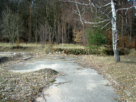 Foto 20